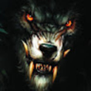 Meet your Posher, Dav